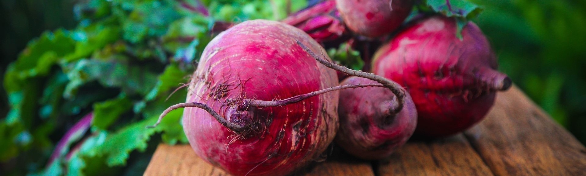 Diashow - Rote Beete